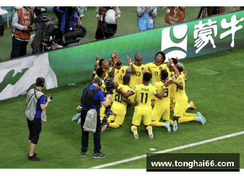 卡塔尔世界杯：促进国际合作与文化交流