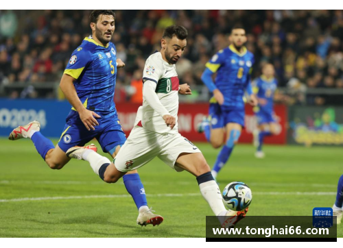 葡萄牙对波黑：欧洲杯预选赛精彩对决
