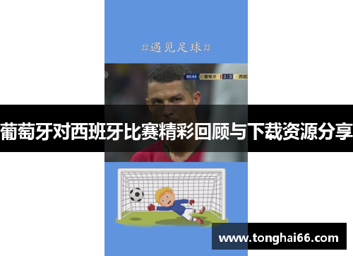 葡萄牙对西班牙比赛精彩回顾与下载资源分享