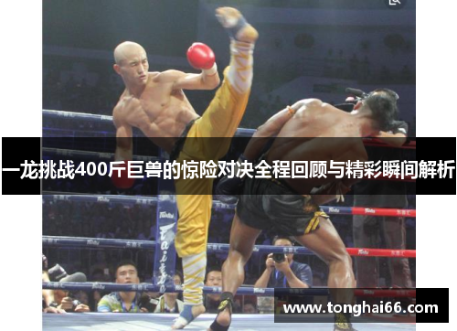 一龙挑战400斤巨兽的惊险对决全程回顾与精彩瞬间解析